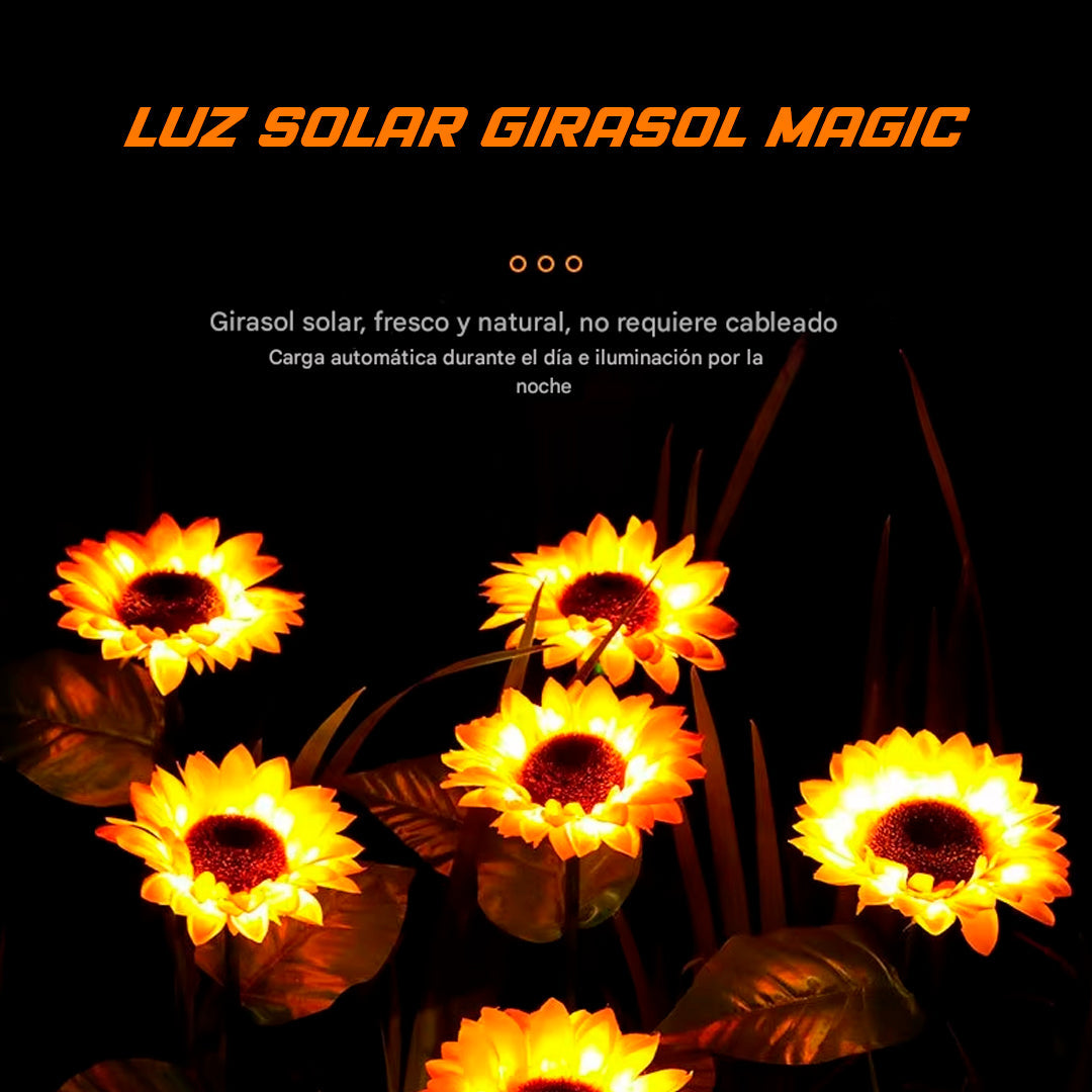 PACK LUZ SOLAR GIRASOL - HOLLY DREAM™