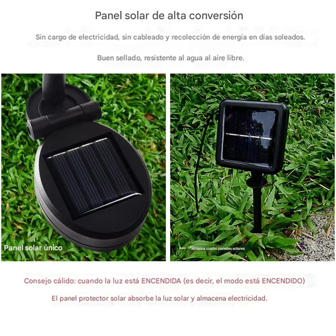 PACK LUZ SOLAR GIRASOL - HOLLY DREAM™