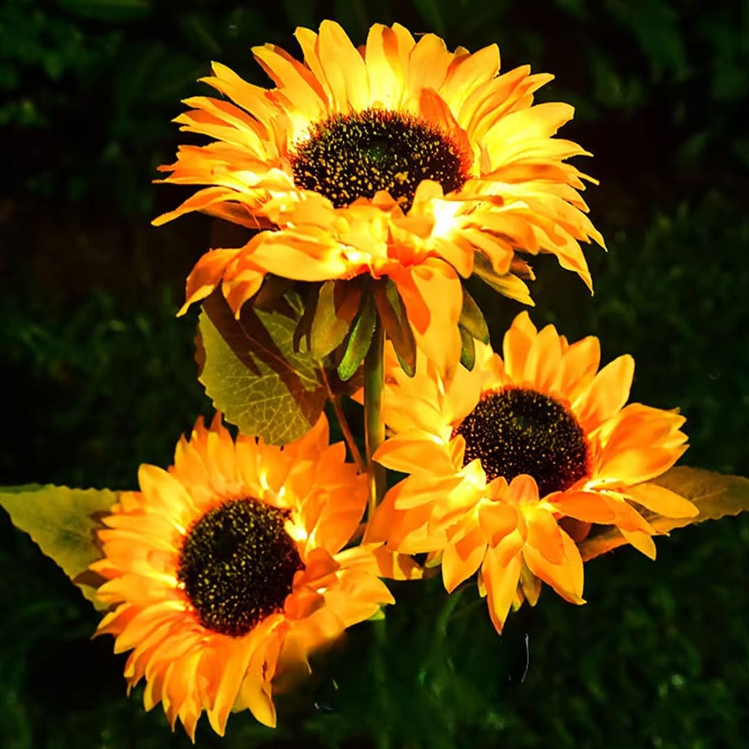 PACK LUZ SOLAR GIRASOL - HOLLY DREAM™