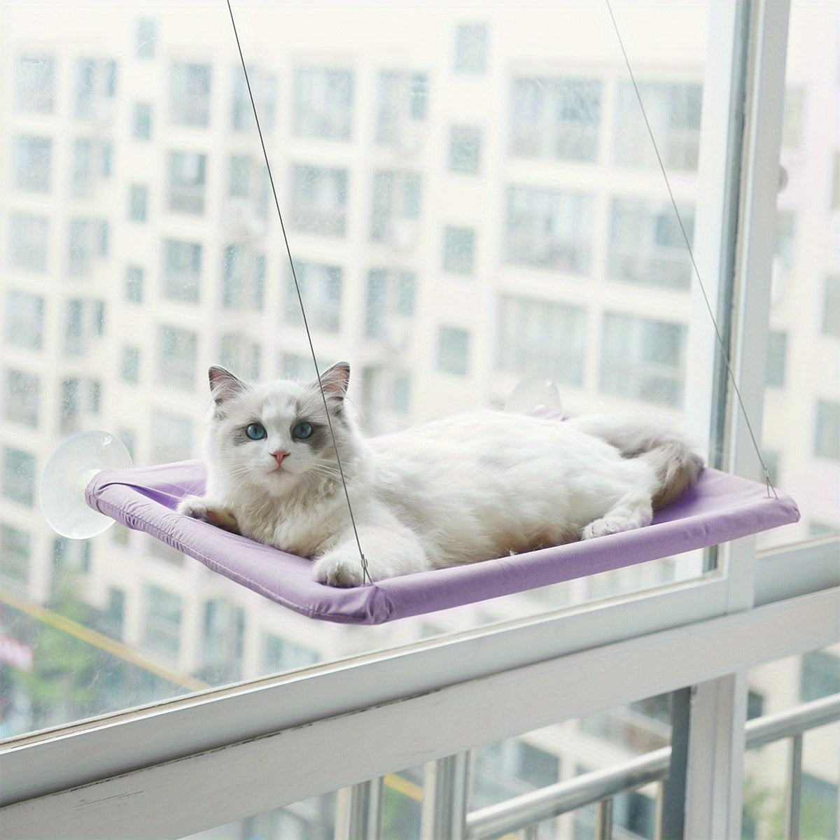 Hamaca Para Gatos con ventosas para ventanas - CatBed™