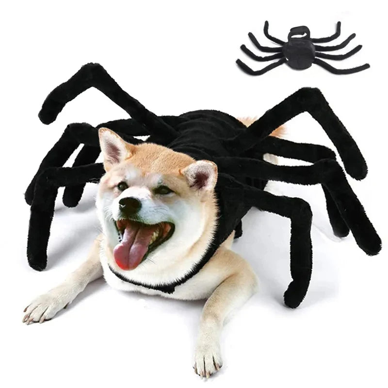 DISFRAZ HALLOWEEN PARA MASCOTA - DISTINTOS DISEÑOS