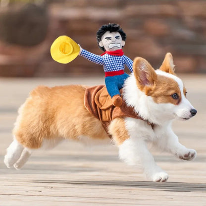 DISFRAZ HALLOWEEN PARA MASCOTA - DISTINTOS DISEÑOS