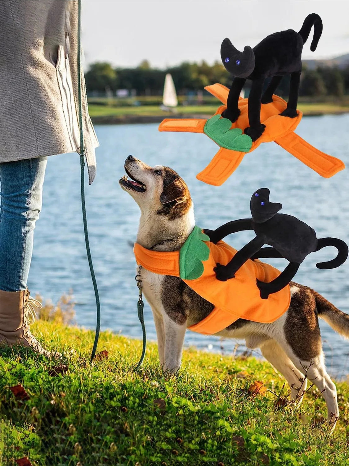 DISFRAZ HALLOWEEN PARA MASCOTA - DISTINTOS DISEÑOS