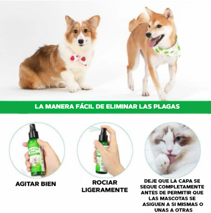 ANTI-PULGAS PARA MASCOTAS - Wag-Away™