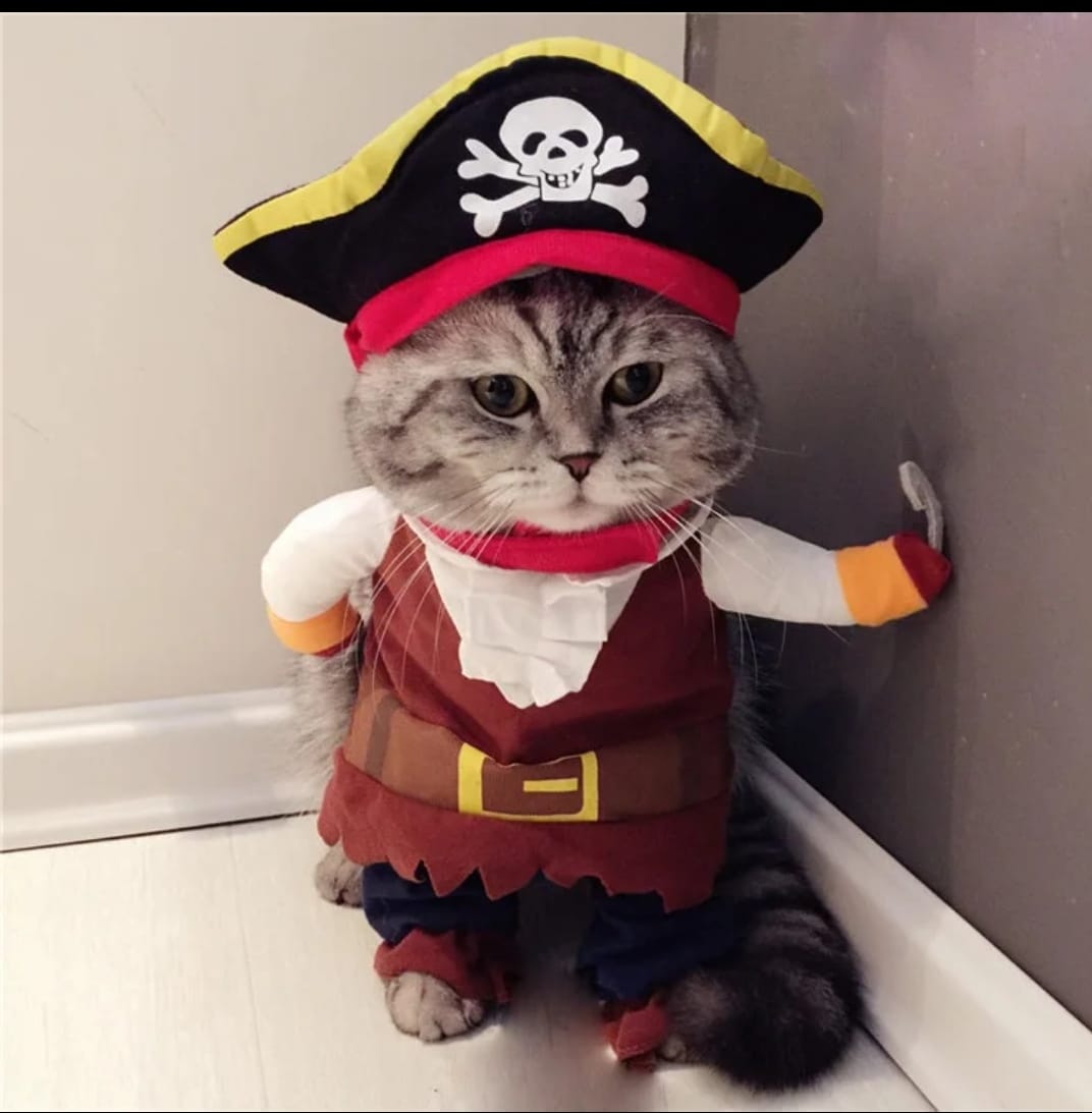 DISFRAZ HALLOWEEN PARA MASCOTA - DISTINTOS DISEÑOS