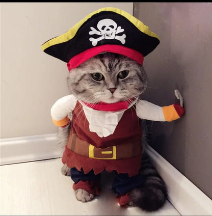 DISFRAZ HALLOWEEN PARA MASCOTA - DISTINTOS DISEÑOS