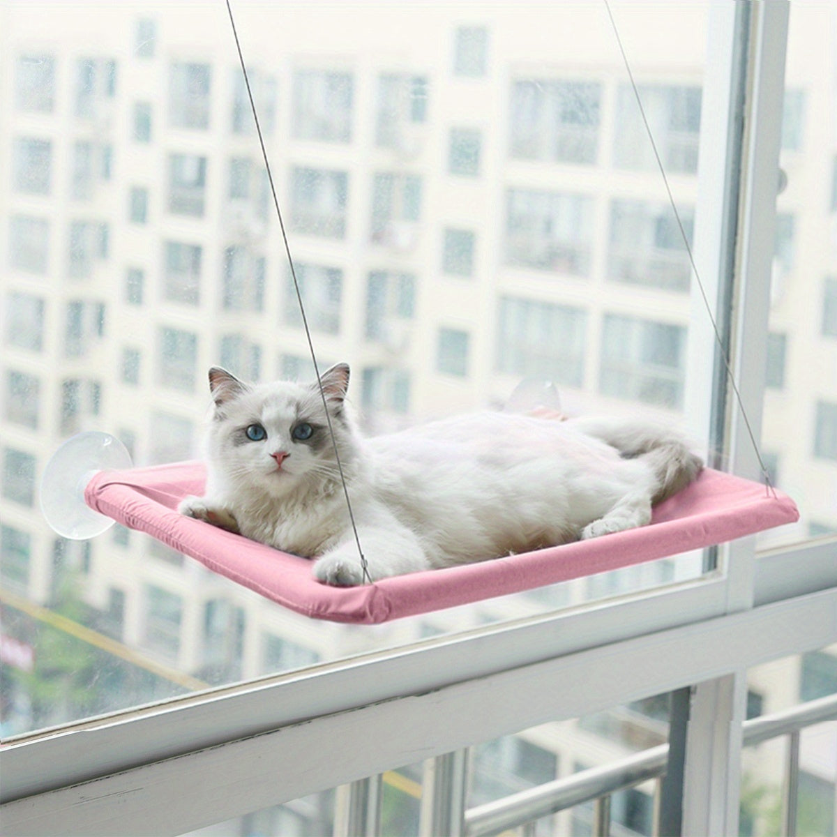 Hamaca Para Gatos con ventosas para ventanas - CatBed™